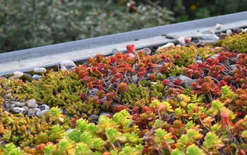 the cost of Old Bridge Of Urr green roof installation