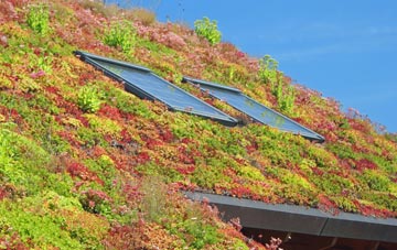 Old Bridge Of Urr living roof systems