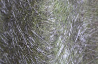 Old Bridge Of Urr fibreglass roof work